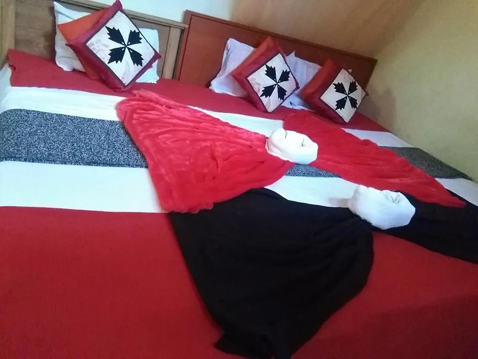 Daffon Guest House نيجومبو سريلانكا